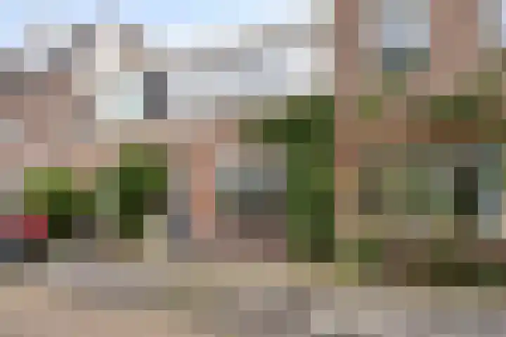 Eendrachtstraat 32 Zwolle thumbnail 37