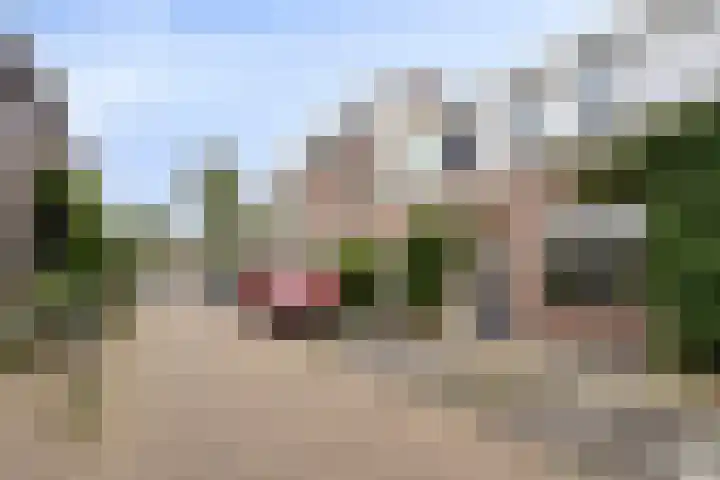 Eendrachtstraat 32 Zwolle thumbnail 38