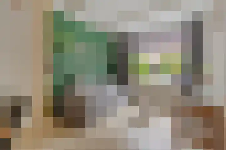Eendrachtstraat 32 Zwolle thumbnail 4