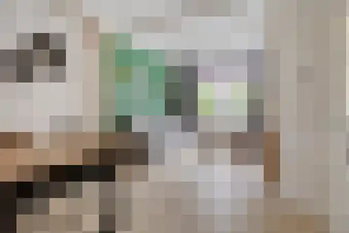 Eendrachtstraat 32 Zwolle thumbnail 8