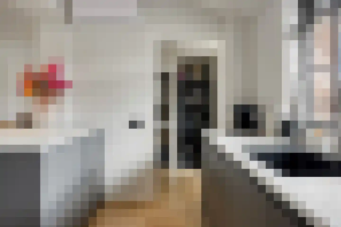 Eendrachtstraat 36 Middelharnis thumbnail 13