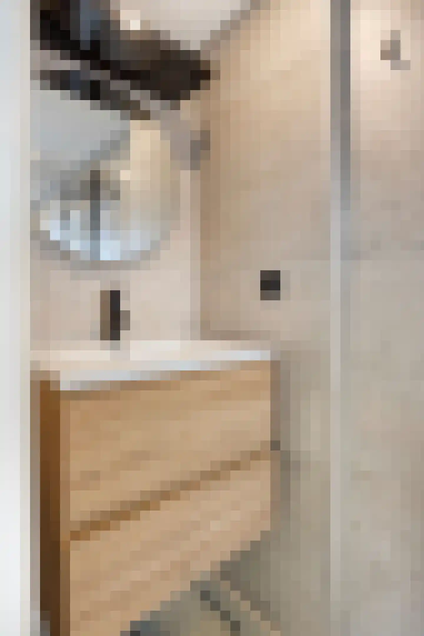 Eendrachtstraat 36 Middelharnis thumbnail 19