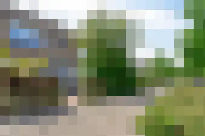 Eendrachtstraat 36 Zierikzee thumbnail 23
