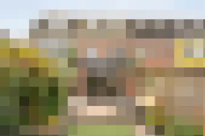 Eendrachtstraat 38 Zwolle thumbnail 33