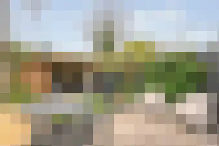 Eendrachtstraat 38 Zwolle thumbnail 5