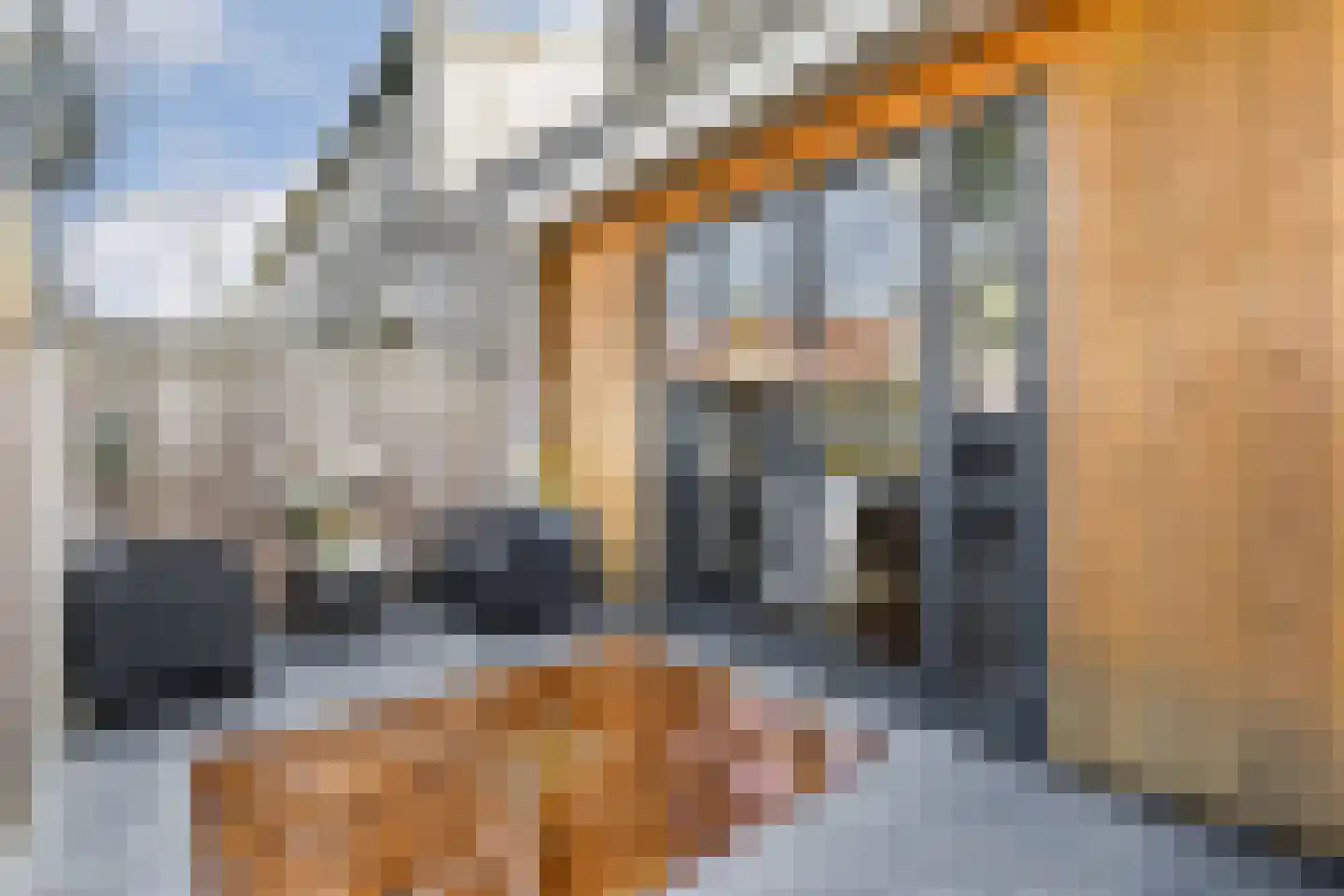 Eendrachtstraat 39 Zaandam thumbnail 11