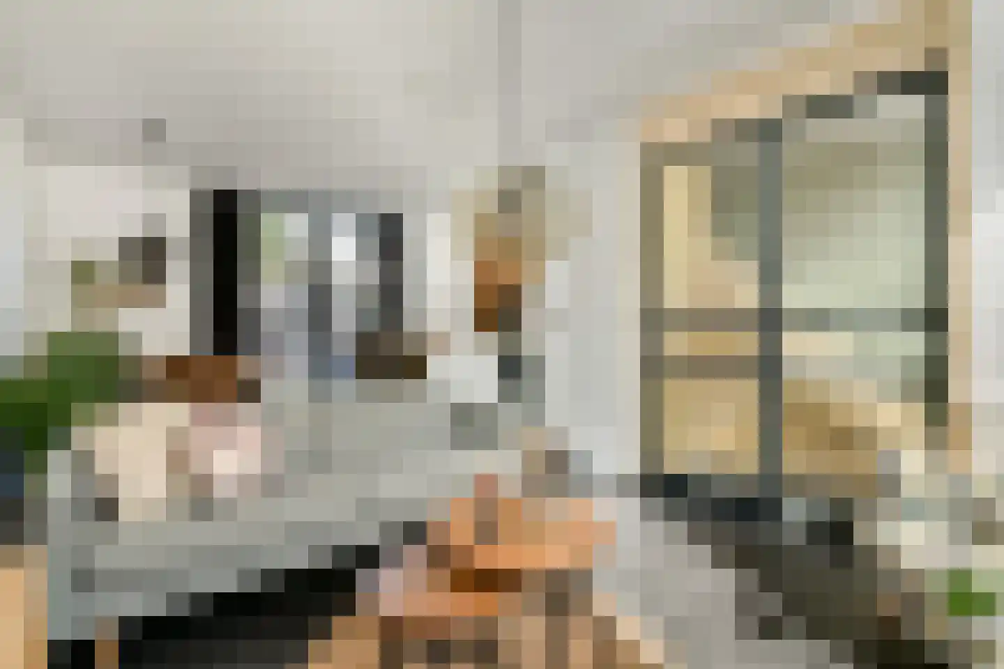 Eendrachtstraat 39 Zaandam thumbnail 4