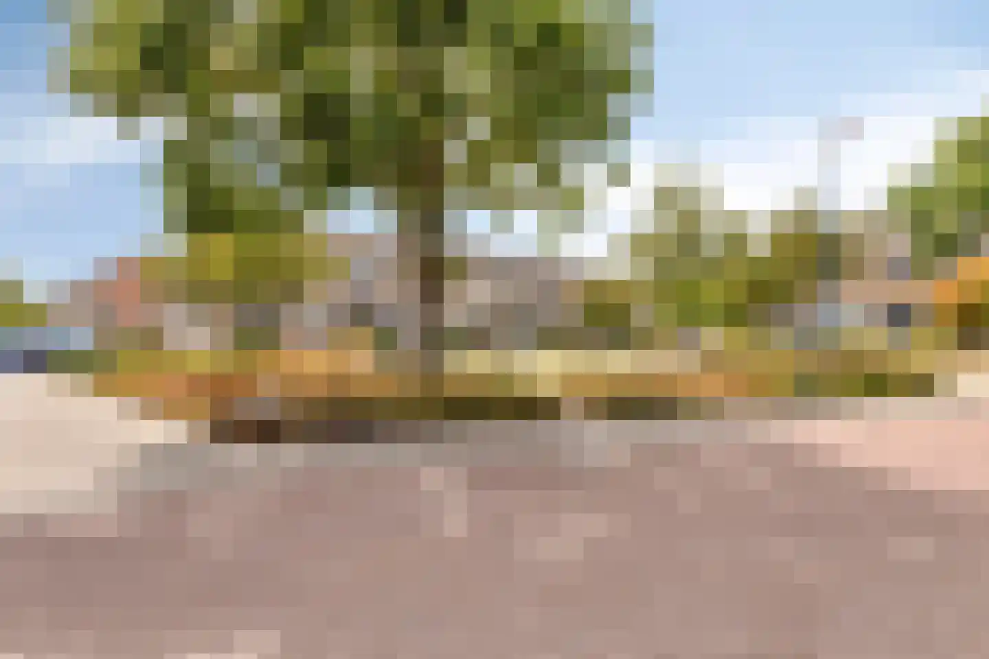 Eendrachtstraat 42 Zierikzee thumbnail 4