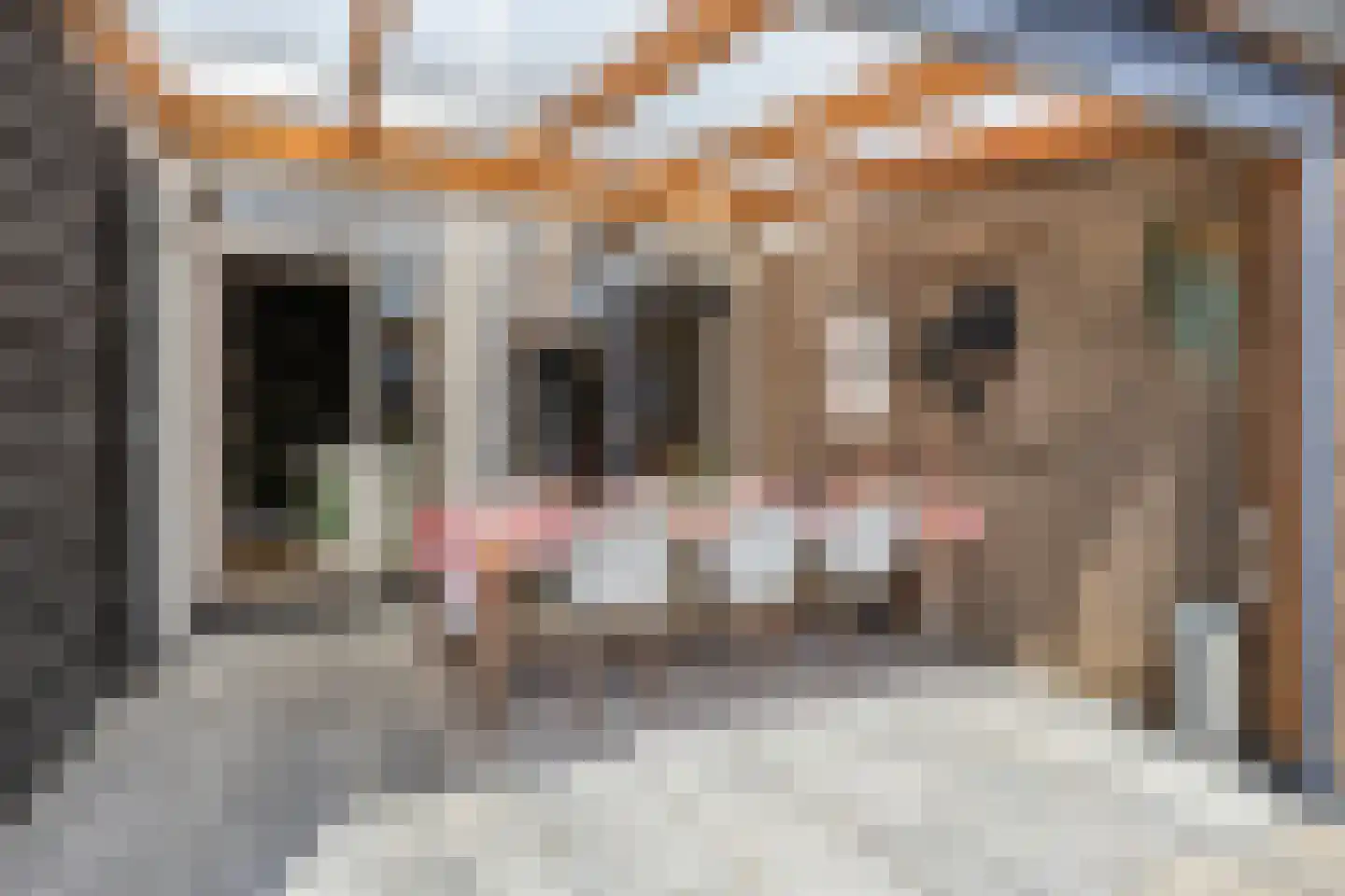 Eendrachtstraat 42 Zierikzee thumbnail 48