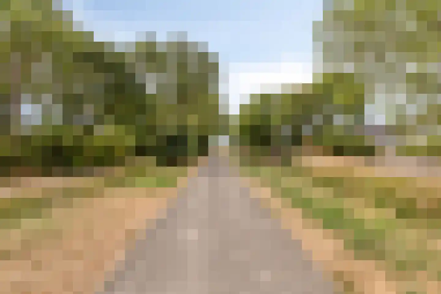 Eendrachtstraat 42 Zierikzee thumbnail 54
