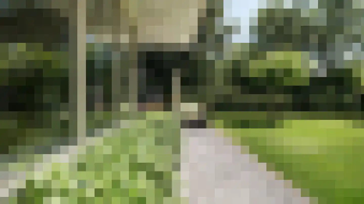 Eendrachtstraat 44 Zwartebroek thumbnail 52