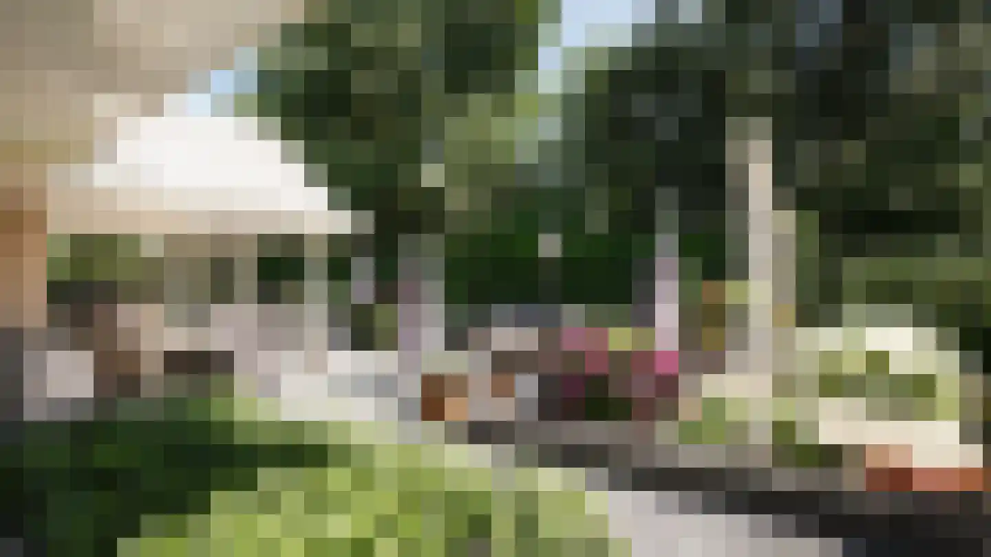Eendrachtstraat 44 Zwartebroek thumbnail 53