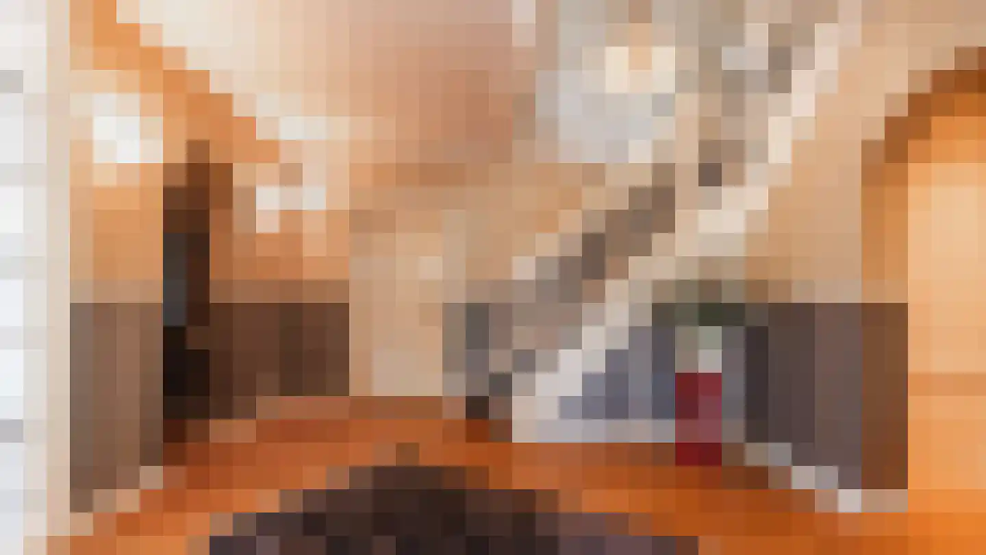 Eendrachtstraat 44 Zwartebroek thumbnail 8