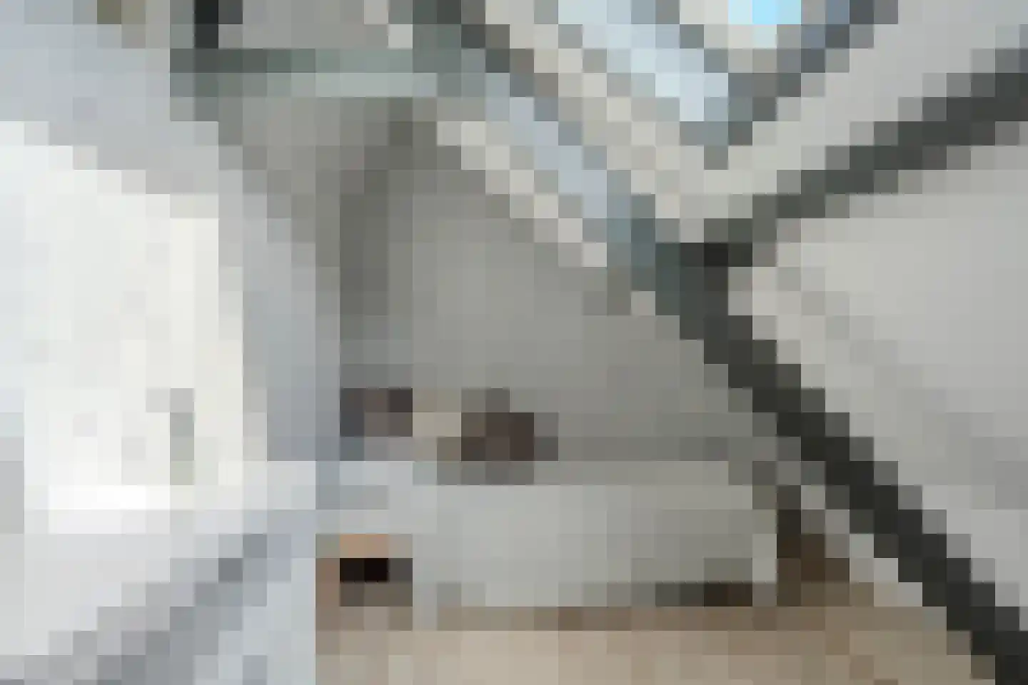 Eendrachtstraat 51 Zaandam thumbnail 18