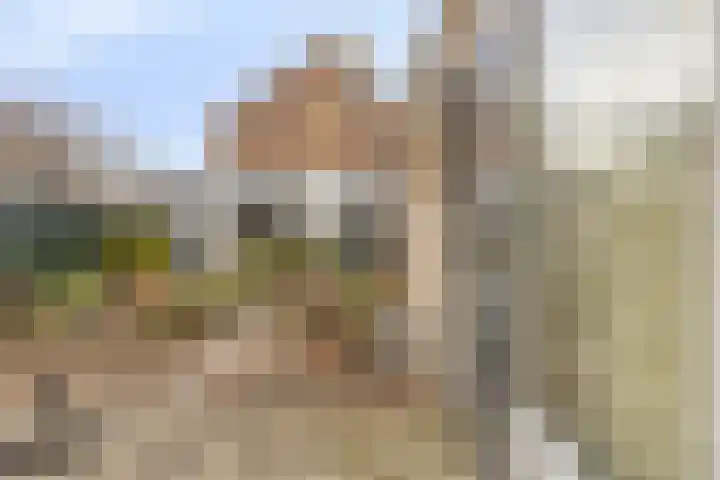 Eendrachtstraat 56 Zierikzee thumbnail 44