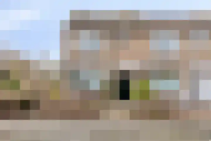 Eendrachtstraat 56 Zierikzee thumbnail 5