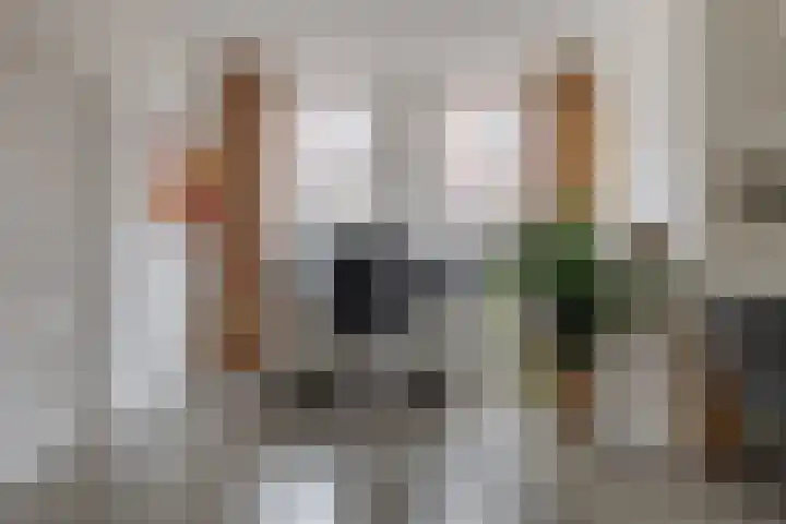 Eendrachtstraat 58 Zwolle thumbnail 17