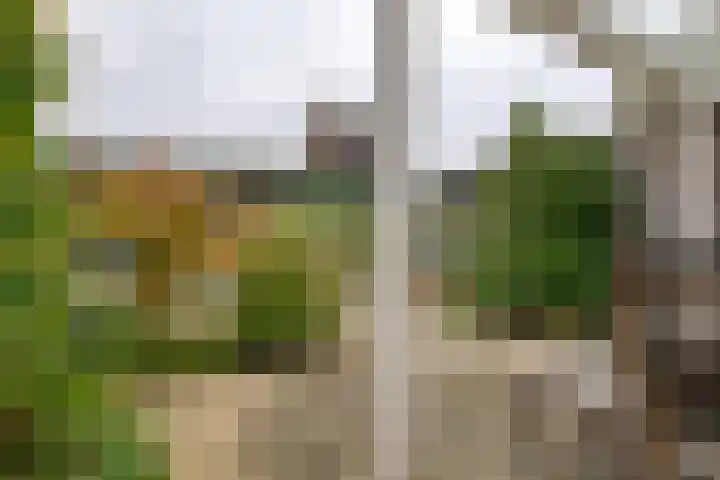 Eendrachtstraat 58 Zwolle thumbnail 31