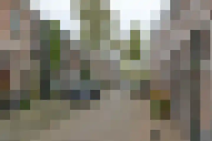 Eendrachtstraat 58 Zwolle thumbnail 58