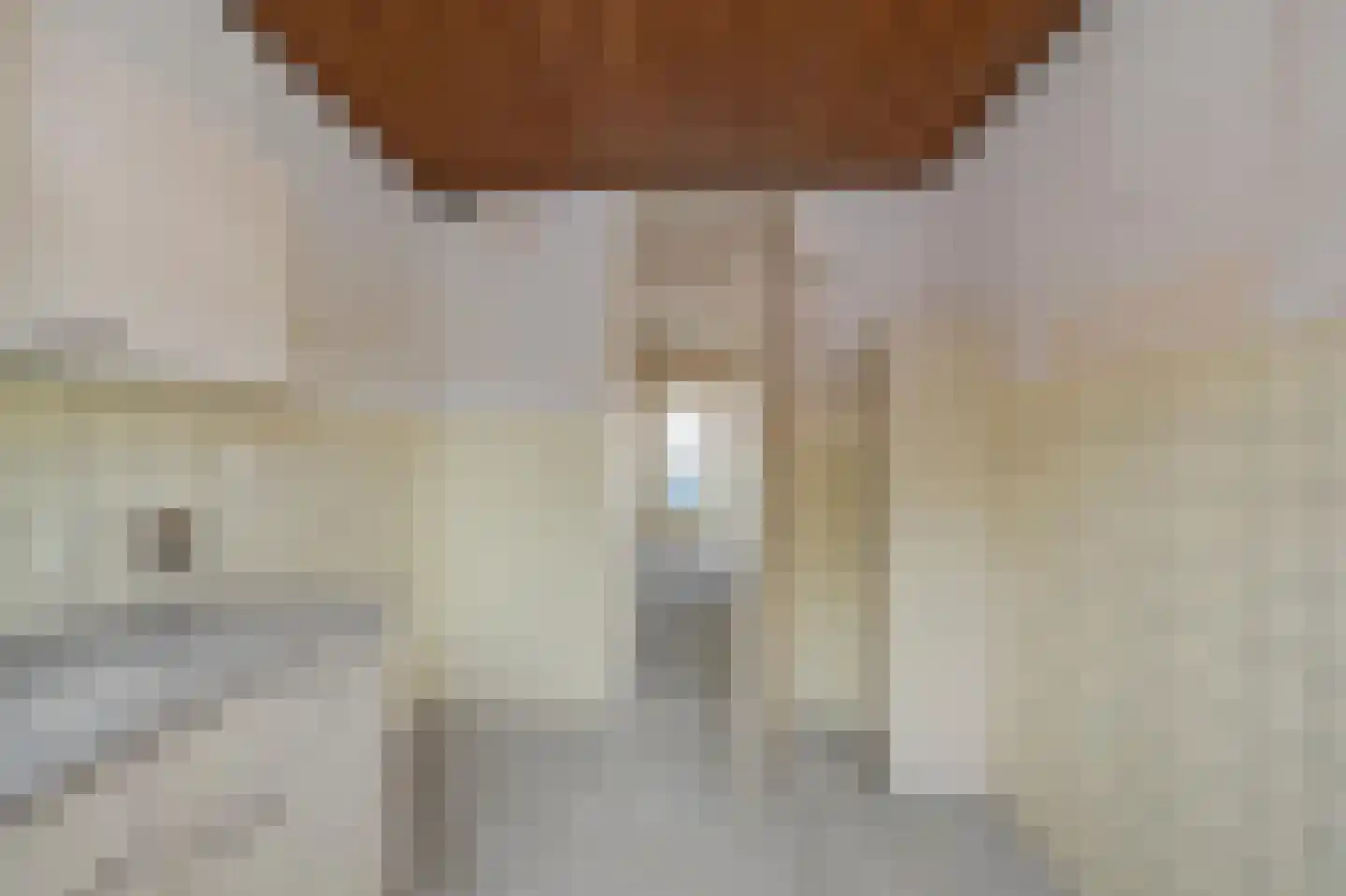 Eendrachtstraat 6 Koog aan de Zaan thumbnail 7