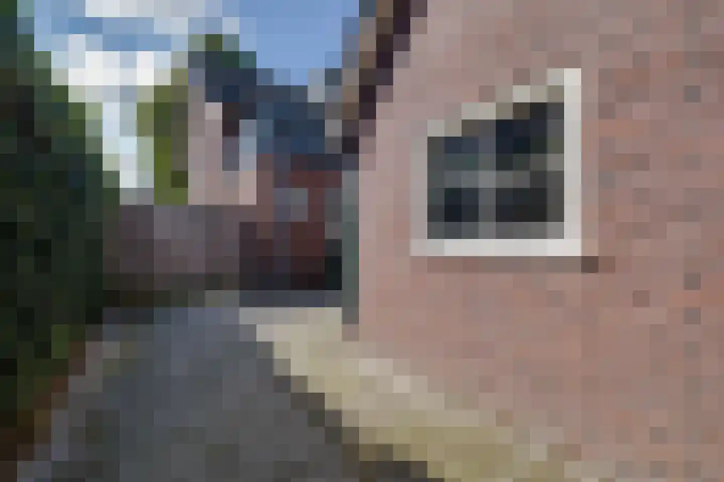 Eendrachtstraat 60 Apeldoorn thumbnail 38