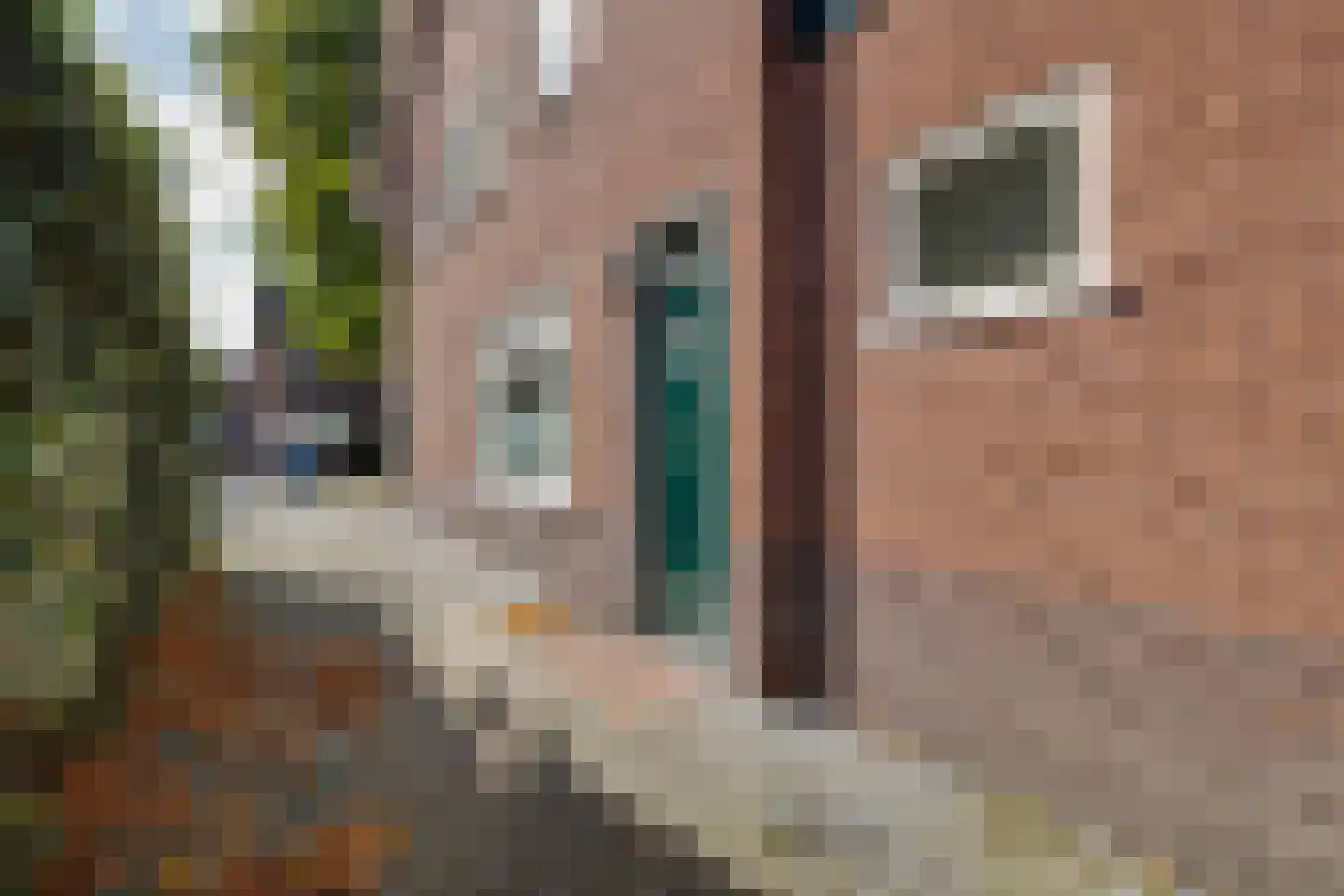 Eendrachtstraat 60 Apeldoorn thumbnail 39