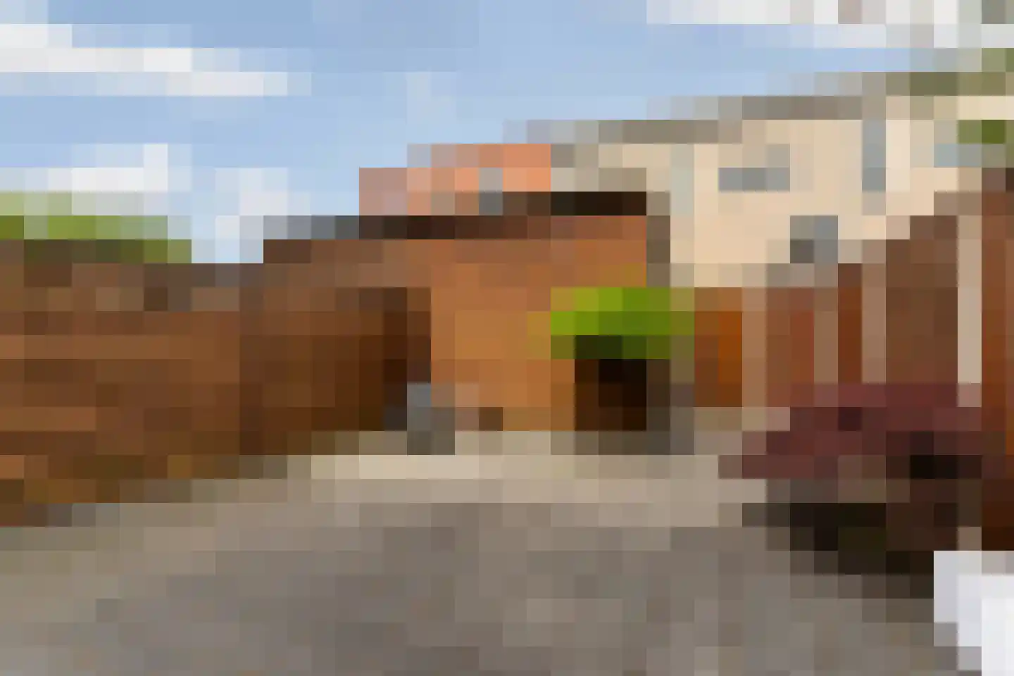 Eendrachtstraat 7 Almere thumbnail 31