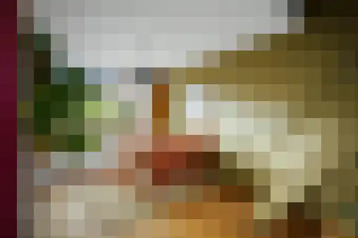 Eendrachtstraat 7 Olst thumbnail 10