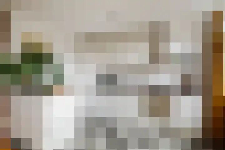 Eendrachtstraat 7 Olst thumbnail 17