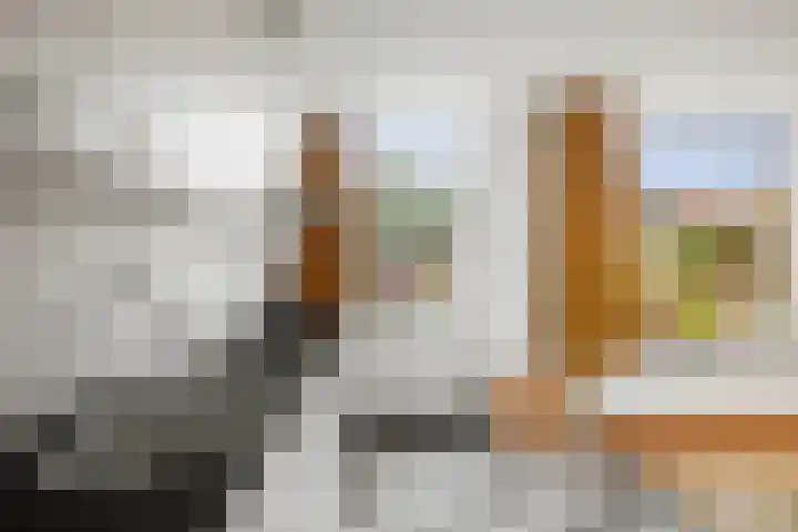 Eendrachtstraat 7 Olst thumbnail 18