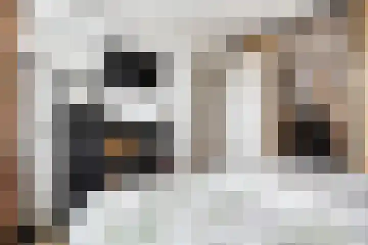 Eendrachtstraat 7 Olst thumbnail 22