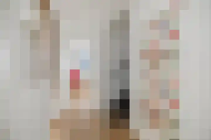 Eendrachtstraat 7 Olst thumbnail 25