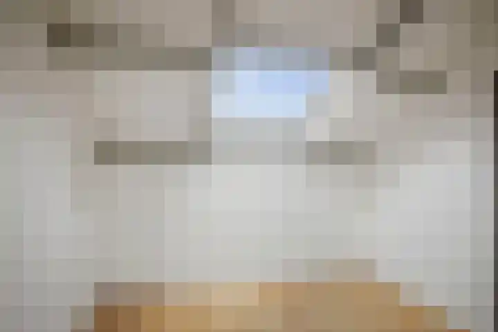 Eendrachtstraat 7 Olst thumbnail 38