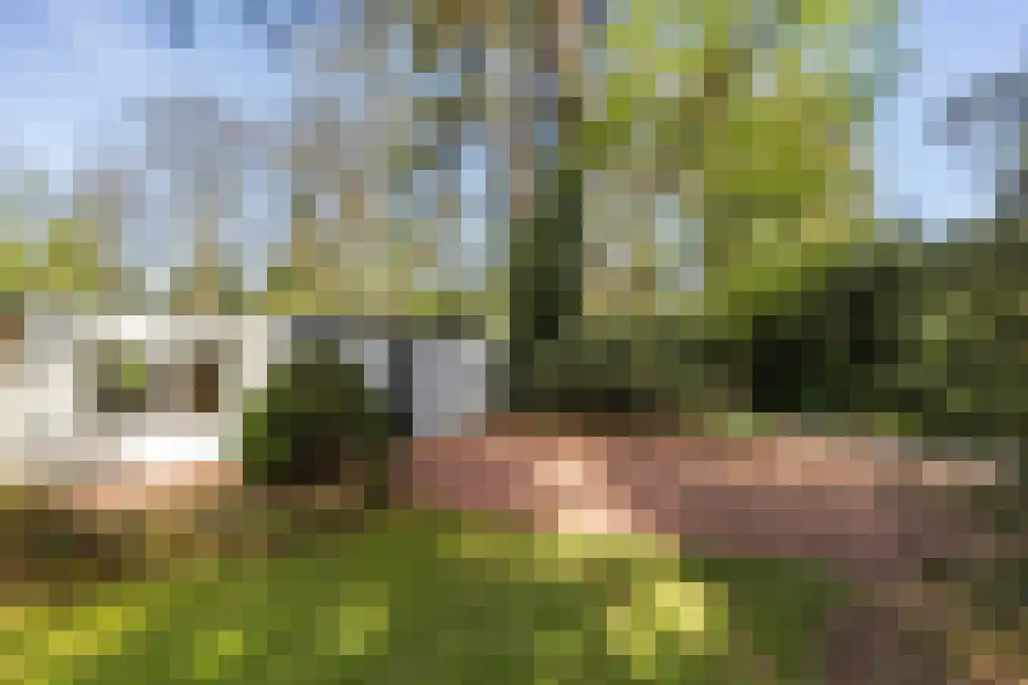 Eendrachtstraat 7 Olst thumbnail 41
