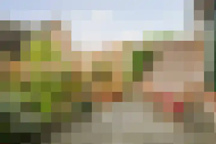 Eendrachtstraat 7 Olst thumbnail 42