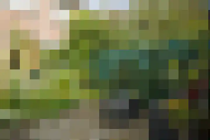 Eendrachtstraat 7 Olst thumbnail 46