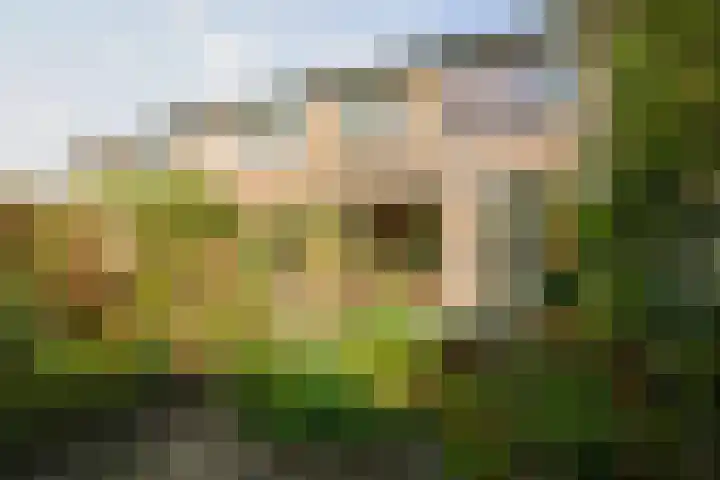 Eendrachtstraat 7 Olst thumbnail 49