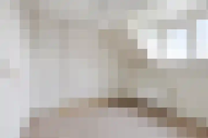 Eendrachtstraat 7 Olst thumbnail 6