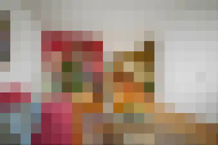 Eendrachtstraat 7 Olst thumbnail 7