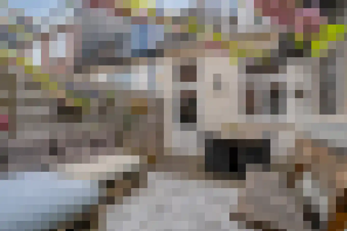Eendrachtstraat 76 Zwolle thumbnail 26