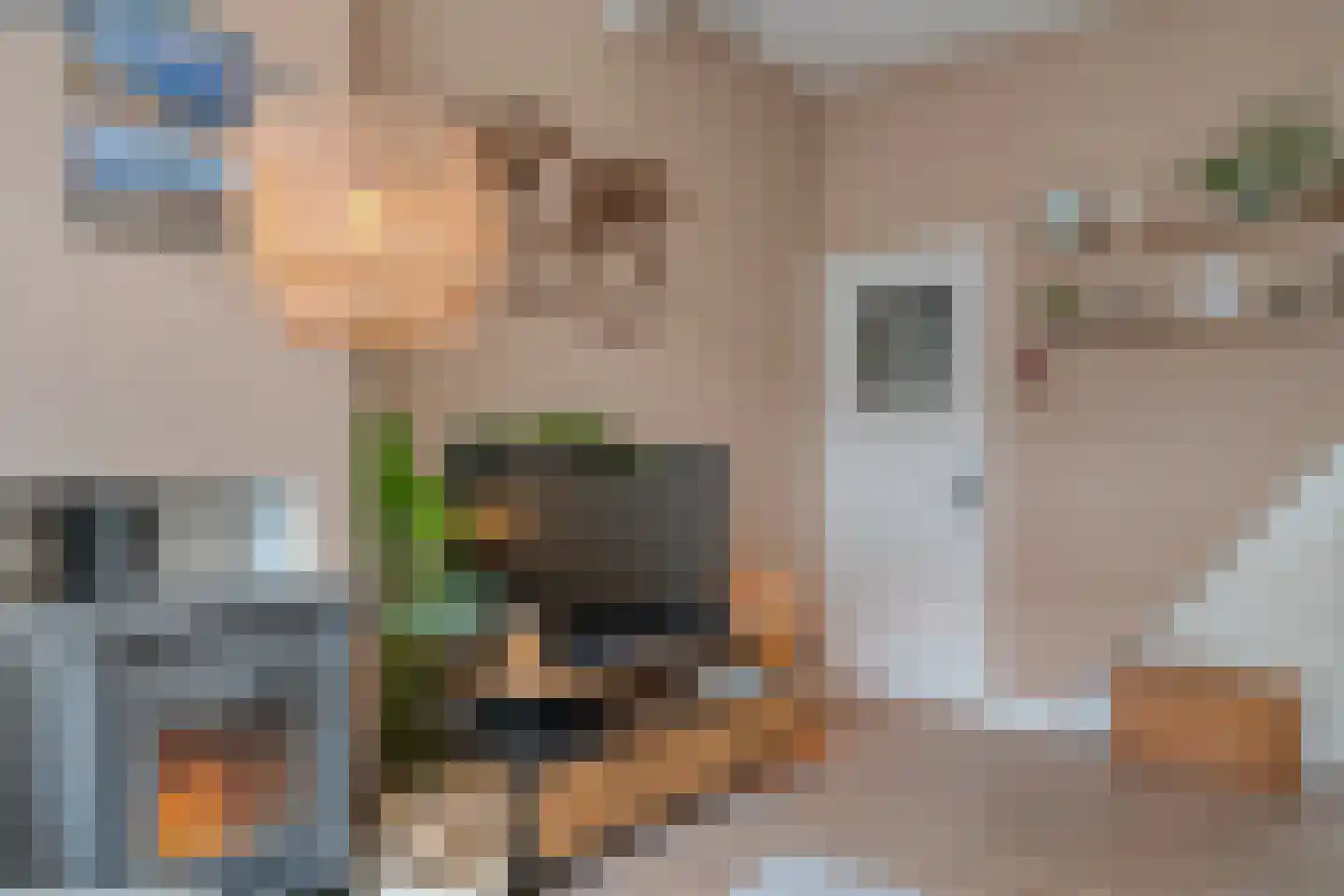 Eendrachtstraat 76 Zwolle thumbnail 6