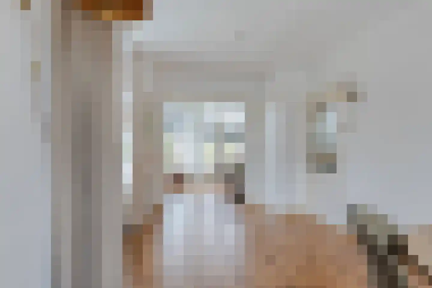 Eendrachtstraat 8 Olst thumbnail 11