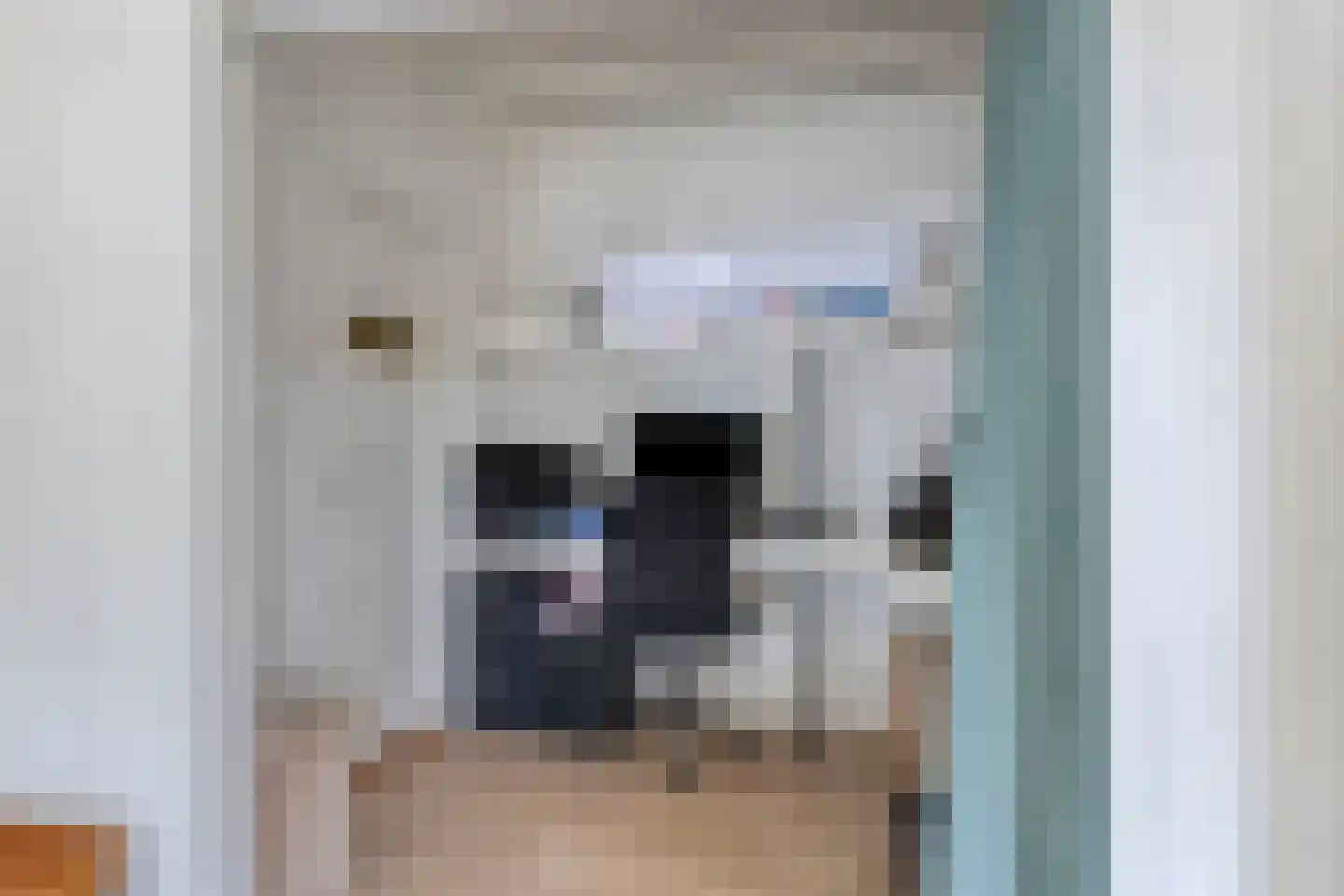 Eendrachtstraat 8 Olst thumbnail 16
