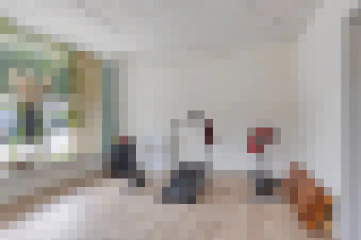 Eendrachtstraat 8 Olst thumbnail 18