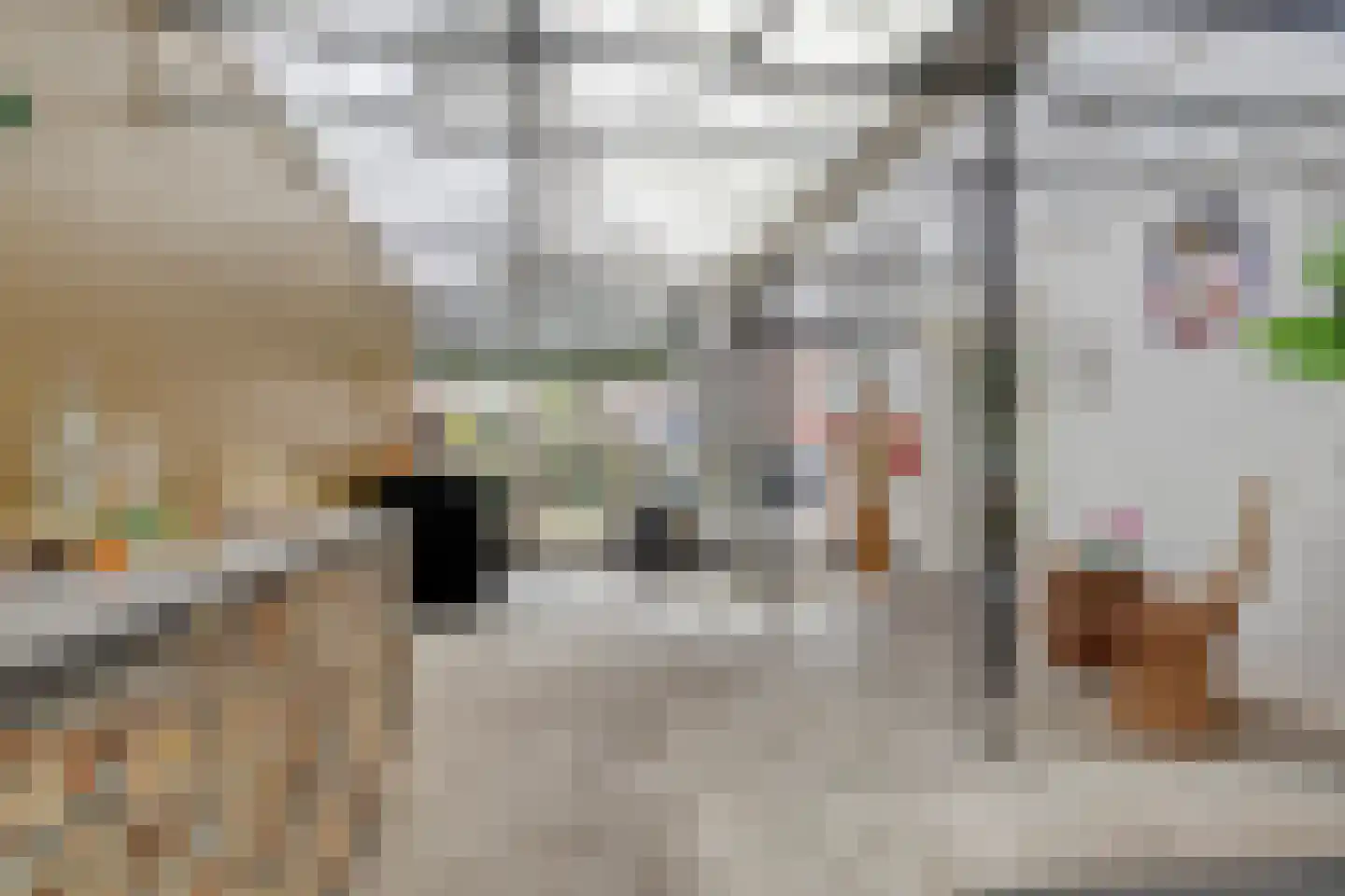 Eendrachtstraat 8 Olst thumbnail 21