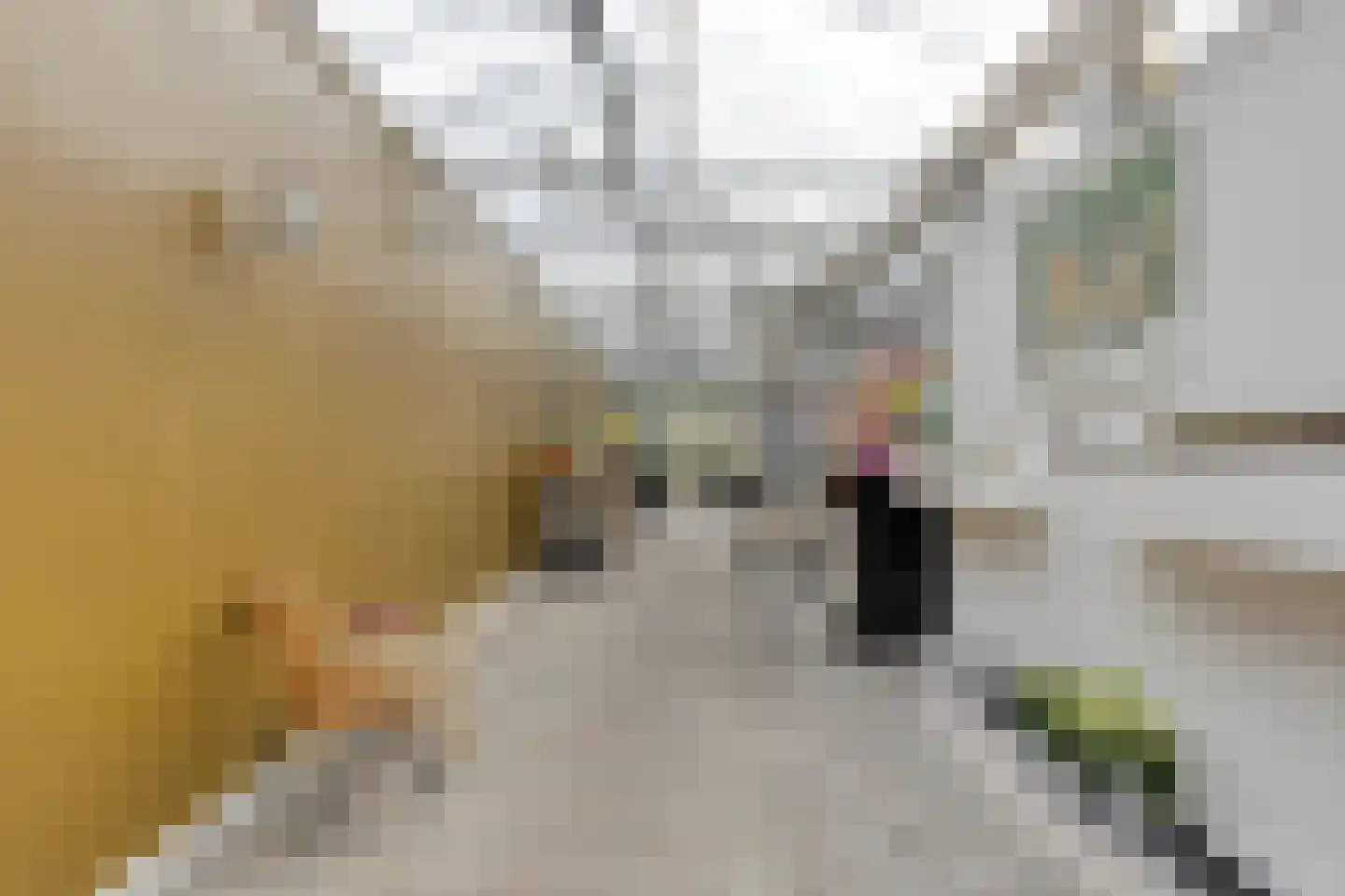 Eendrachtstraat 8 Olst thumbnail 23