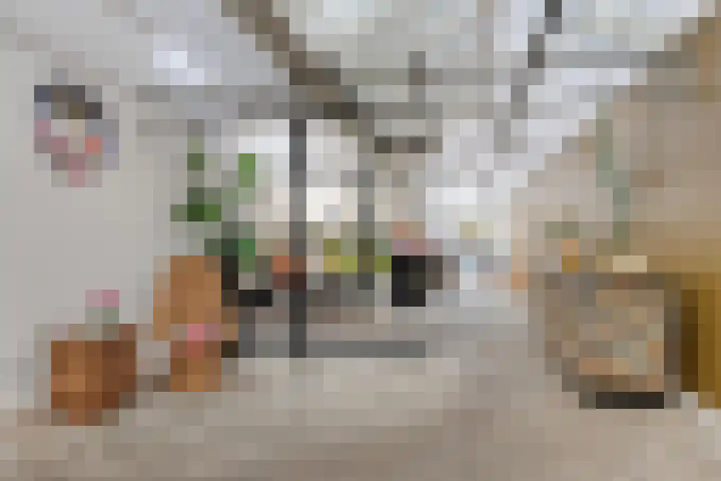 Eendrachtstraat 8 Olst thumbnail 4