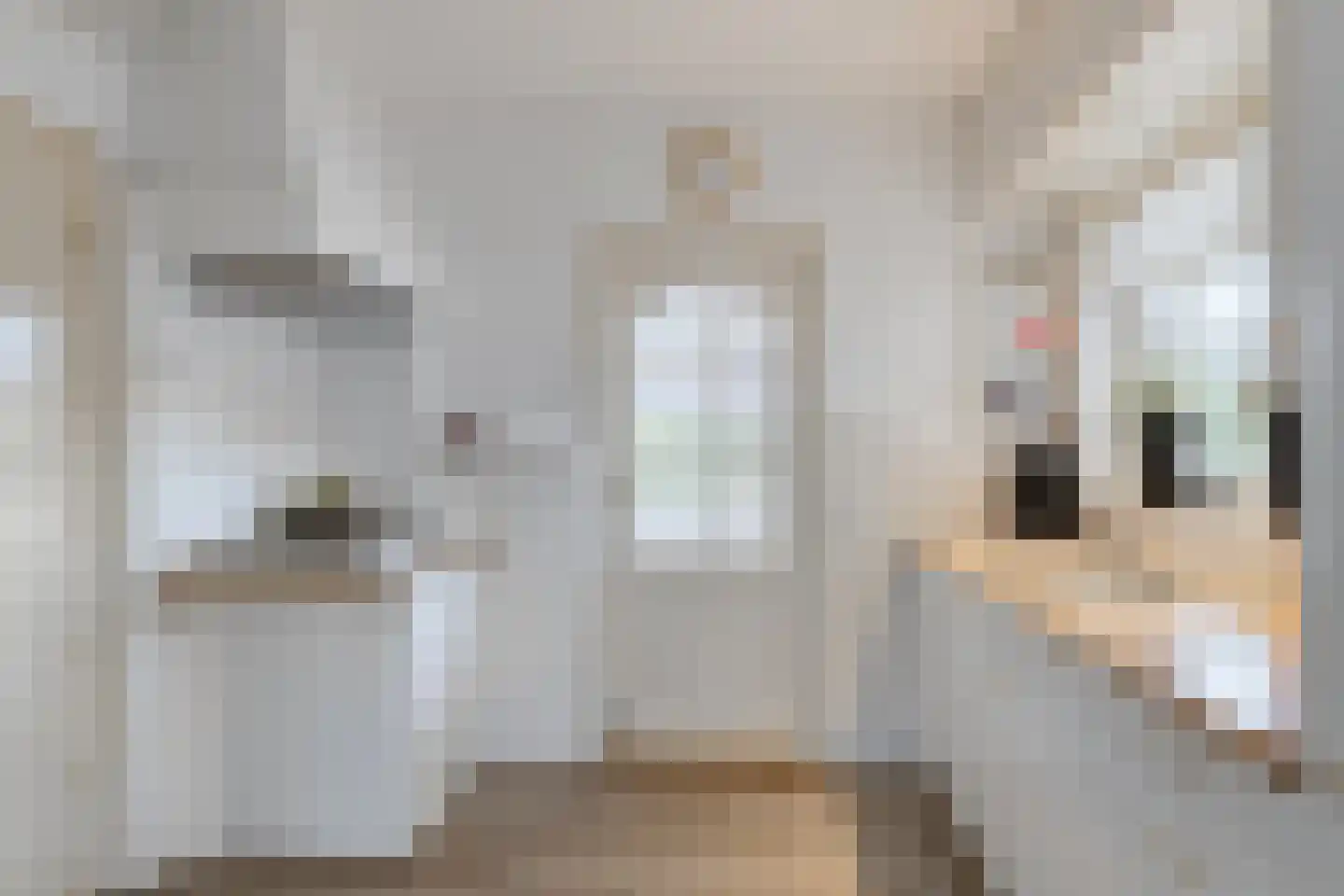 Eendrachtstraat 8 Olst thumbnail 7