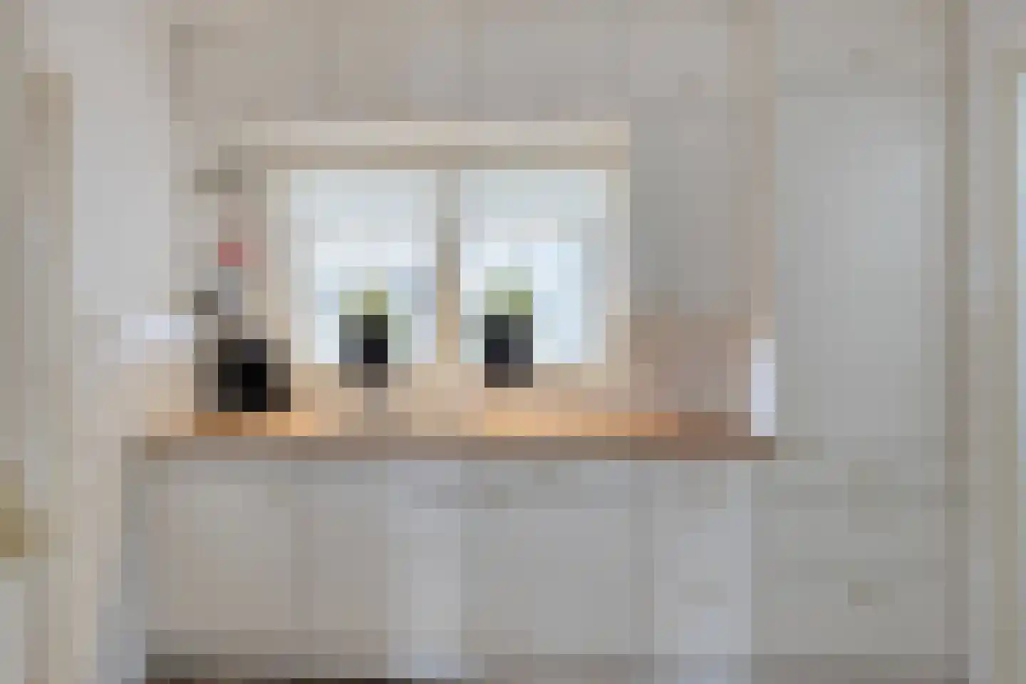 Eendrachtstraat 8 Olst thumbnail 8