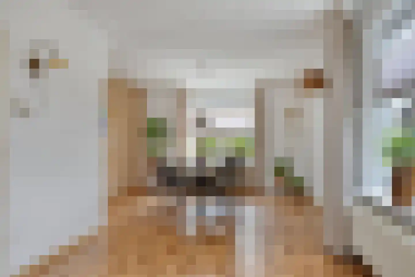 Eendrachtstraat 8 Olst thumbnail 9